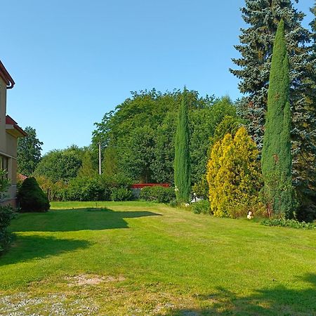 Apartman Za Lesem Cerveny Kostelec Exterior photo